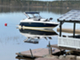 Regal 28