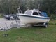 Bella 530 HT Vaihto