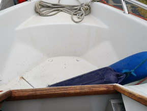 Yamarin 560 Big catch