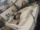 Sea Ray 176