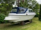 Bella 702