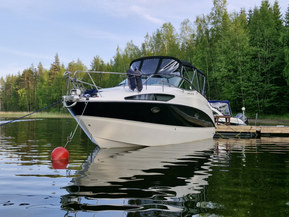 Bayliner 265 SB