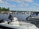 Atlantic 555