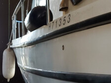 Albatross 29