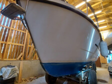 Albatross 29