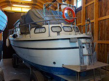 Albatross 29