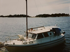 Albatross 29