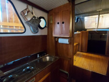 Albatross 29