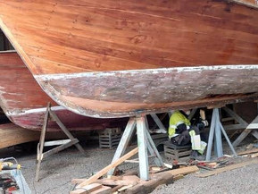 Mahonkivene Muu malli