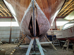 Mahonkivene Muu malli