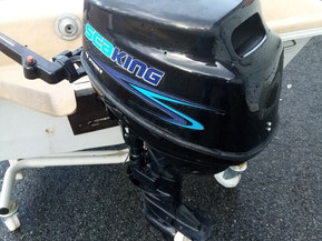 Suvi Kala-Kaveri 475