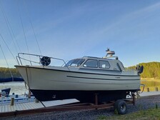 Albatross Flying 870