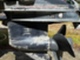 Evinrude 60 hv VRO