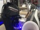 Macea 480 Hypalon