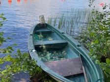 Lohi Muu malli