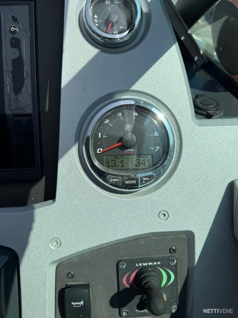19 / 19