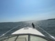 Sea Ray 280/315 Sundancer