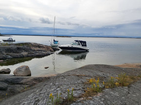 Sea Ray 260/275 Sundancer