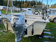 Näpsä 445 MV