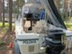 Bayliner 2159 Trophy Walkaround