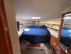 Sea Ray 515 Sundancer