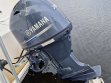 TG 5900 Sport Fisher