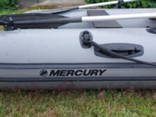 Mercury 