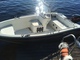 Silver Colibri 405