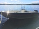 Silver Colibri 405