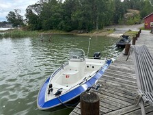 Silver Beaver 450