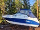 Rinker 242 Fiesta