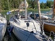 Dufour Muu malli 335 Grand