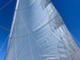 Dufour Muu malli 335 Grand