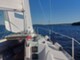 Finn Express 64