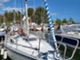 Finn 26