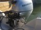 Terhi Nordic 6020 C