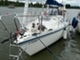 Finn 26