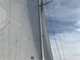 Finn 26