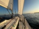 Finn 26