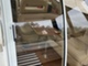 Sealine F34