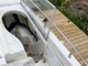 Sealine F34