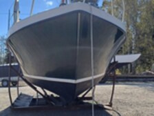 Nordic 81