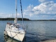 Finn 26