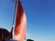 Nordic 81
