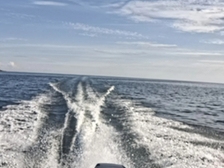 Finnark 490