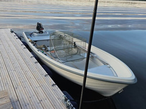 Terhi 440