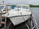 Tristan 820