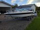 Yamarin 53 BR