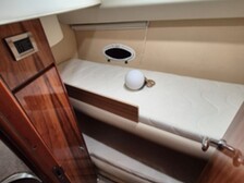 Azimut 42
