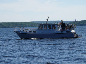 Omavalmiste Muu malli